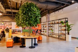 Как увеличить доходность объекта торговой недвижимости с помощью категорийного менеджмента  Как увеличить доходность объекта торговой недвижимости с помощью категорийного менеджмента