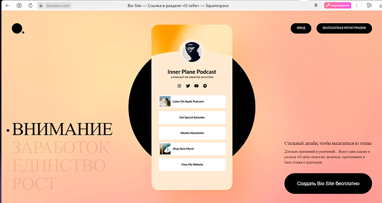 От минимализма до психоделического котика: разбираем 10 трендов веб-дизайна весны 2024 От минимализма до психоделического котика: разбираем 10 трендов веб-дизайна весны 2024