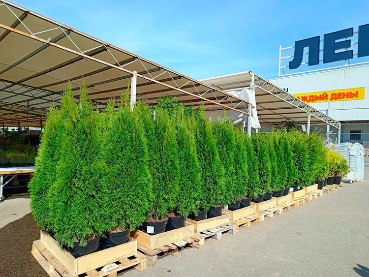 Алексей Шамов, «Лемана ПРО»: «Мы не можем сказать клиенту: “Извините, партнер подвел”» Алексей Шамов, «Лемана ПРО»: «Мы не можем сказать клиенту: “Извините, партнер подвел”»