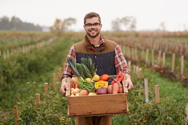 К 2025 году треть фермерской продукции будет продаваться онлайн К 2025 году треть фермерской продукции будет продаваться онлайн