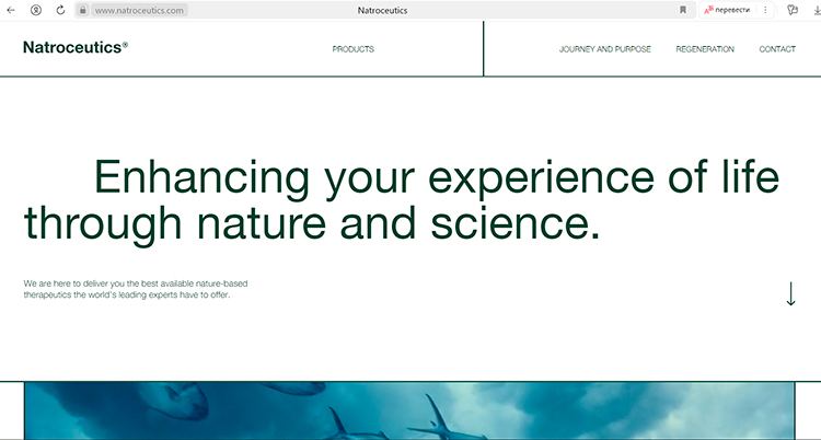 От минимализма до психоделического котика: разбираем 10 трендов веб-дизайна весны 2024 От минимализма до психоделического котика: разбираем 10 трендов веб-дизайна весны 2024