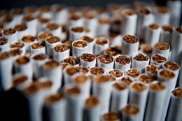 Доля нелегальных сигарет в ЦФО в 2022 году сократилась до 13% Доля нелегальных сигарет в ЦФО в 2022 году сократилась до 13%